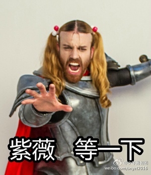 胡子辣妹超魔性微信表情包 少年勇者团