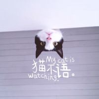 微信文艺文字女生头像小清新 灿烂的笑容照亮我的星空