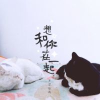 微信文艺文字女生头像小清新 灿烂的笑容照亮我的星空