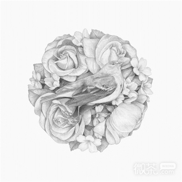 素描手绘动物微信图片