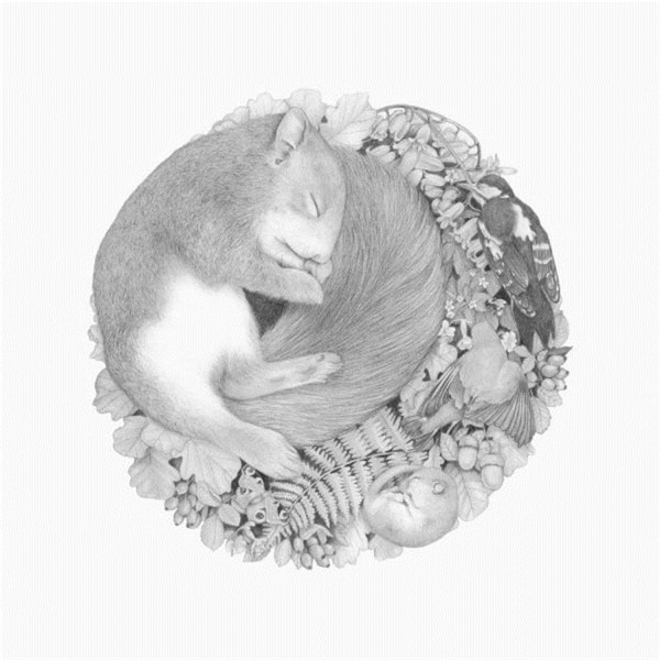 素描手绘动物微信图片