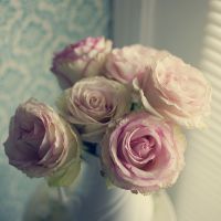 微信唯美花头像