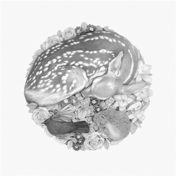 素描手绘动物微信图片