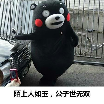 熊本熊表白微信表情包 表白成功!