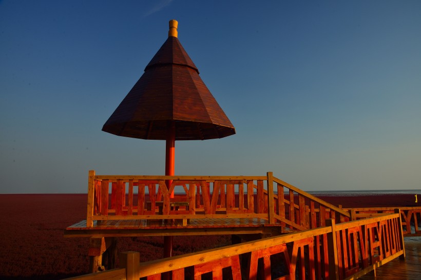 辽宁盘锦红海滩国家风景微信图片 世界红色海岸线