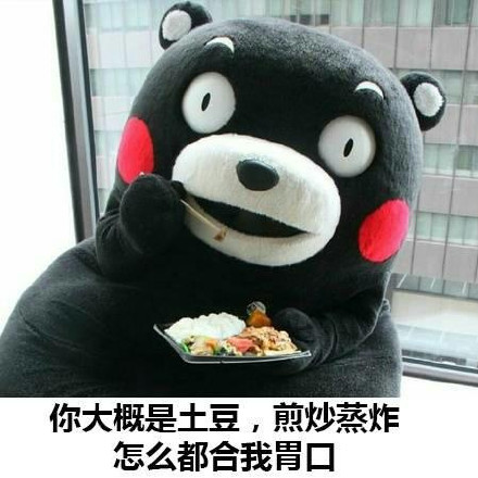 熊本熊表白微信表情包 表白成功!