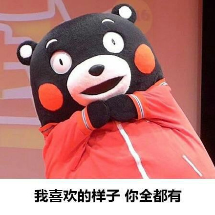 熊本熊表白微信表情包 表白成功!