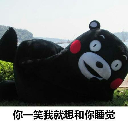 熊本熊表白微信表情包 表白成功!