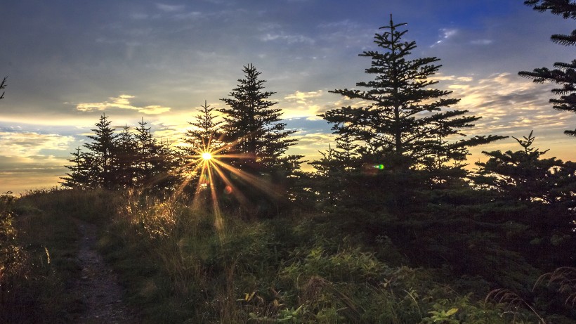 唯美山顶的云海日出微信图片 晨曦
