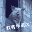 微信群聊搞笑表情包  体温计(啊,你发骚了)