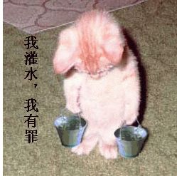 微信搞笑搞笑GIF全集表情包 搞笑我在行！