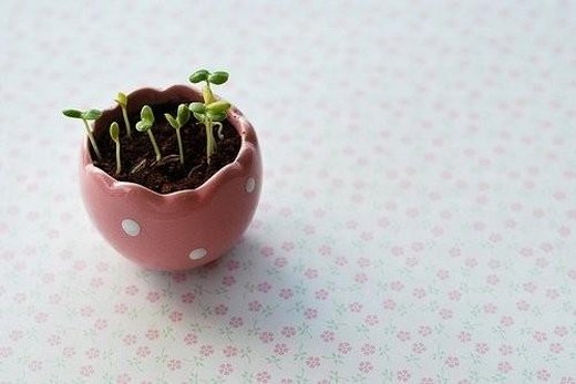 唯美清新简约微信图片 简简单单就好