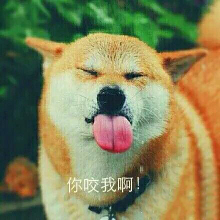 微信搞怪热门表情包 你来咬我啊！