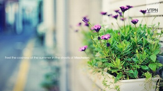 唯美清新简约微信图片 简简单单就好