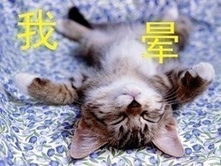 微信搞笑搞笑GIF全集表情包 搞笑我在行!