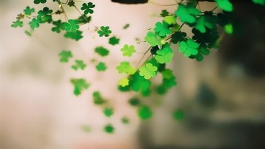 唯美清新简约微信图片 简简单单就好