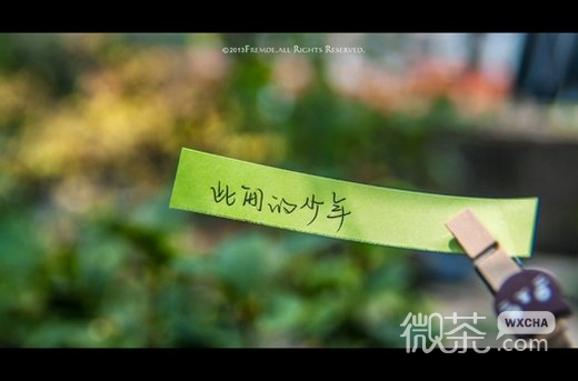 唯美文字手写微信图片 随遇而安