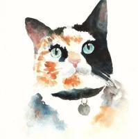 微信手绘水染画卡通头像 不留给我一丝机会