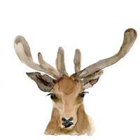 微信手绘水染画卡通头像 不留给我一丝机会