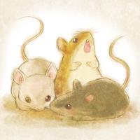 微信手绘水染画卡通头像 不留给我一丝机会