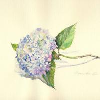 微信手绘水染画卡通头像 不留给我一丝机会