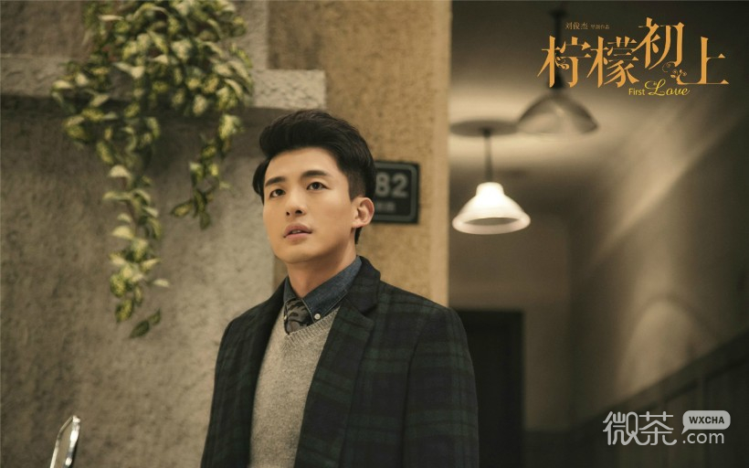 电视剧《柠檬初上》海报微信图片