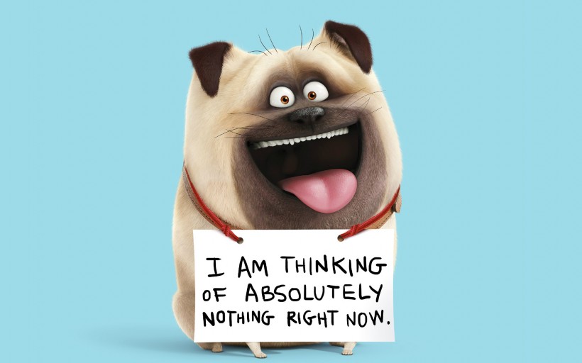 《爱宠大机密》动画电影微信图片 呆萌可爱！