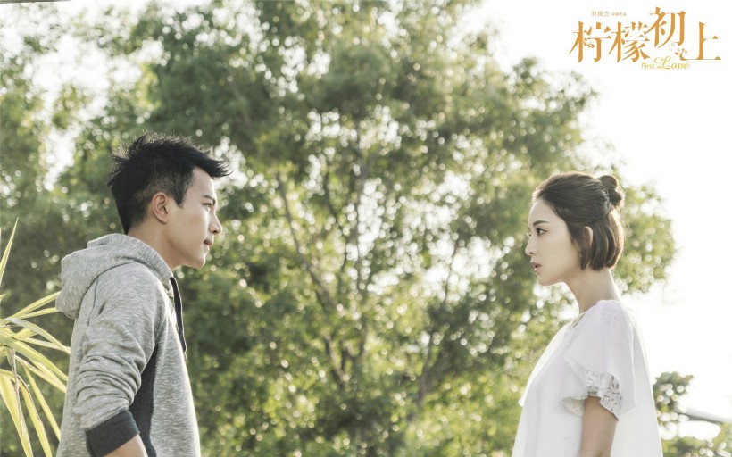 电视剧《柠檬初上》海报微信图片