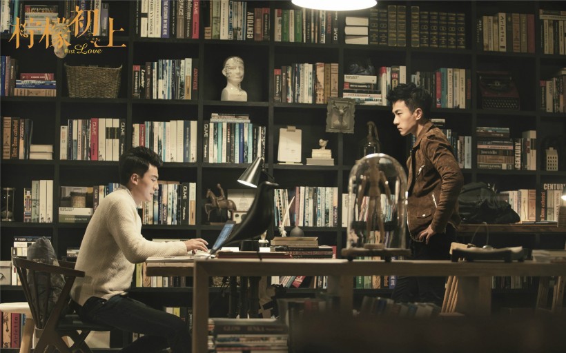 电视剧《柠檬初上》海报微信图片