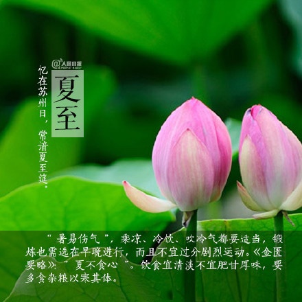 2016夏至节气微信高清图片 图文结合