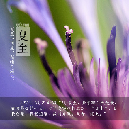 2016夏至节气微信高清图片 图文结合