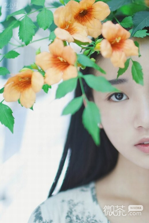 微信小清新清纯少女图片 美女一枚