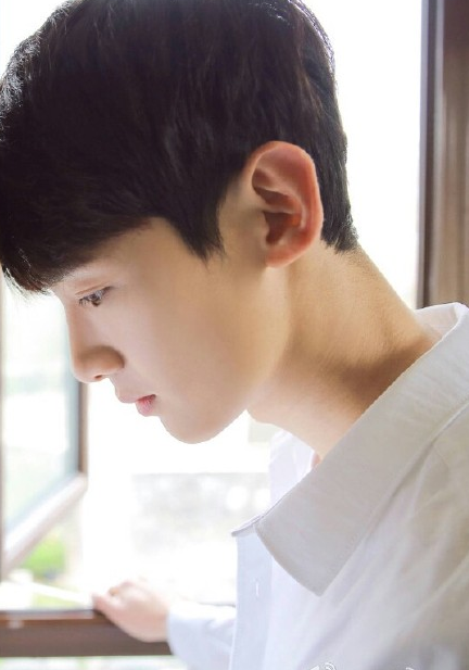 夏至未至电视剧海报唯美微信图片 你期待男女主角是谁