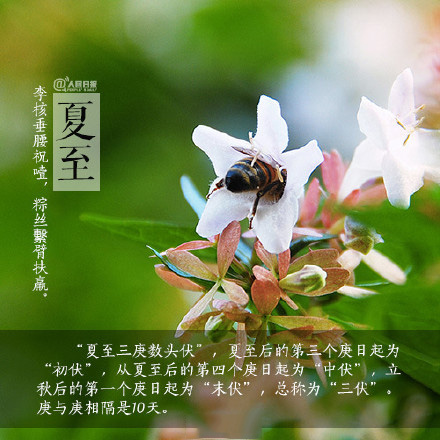 2016夏至节气微信高清图片 图文结合