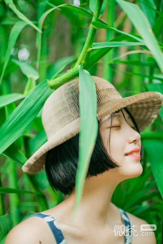 微信小清新清纯少女图片 美女一枚