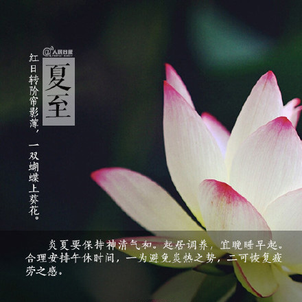 2016夏至节气微信高清图片 图文结合