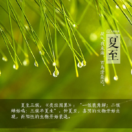 2016夏至节气微信高清图片 图文结合