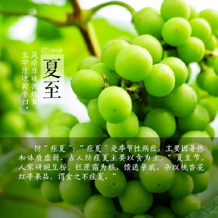 2016夏至节气微信高清图片 图文结合