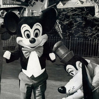 微信动物头人身的个性另类头像 每个人出生的时候都是原创