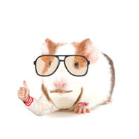 微信动物头人身的个性另类头像 每个人出生的时候都是原创