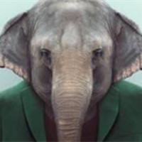 微信动物头人身的个性另类头像 每个人出生的时候都是原创