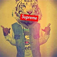 微信动物头人身的个性另类头像 每个人出生的时候都是原创