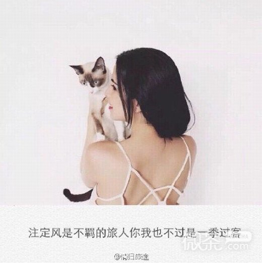 唯美爱情文字微信图片  愿得一心人,白头不相离！