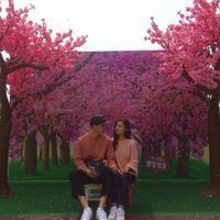 微信情侣头像不离不弃，未来让我守护你。