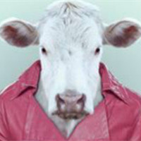 微信动物头人身的个性另类头像 每个人出生的时候都是原创