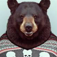 微信动物头人身的个性另类头像 每个人出生的时候都是原创