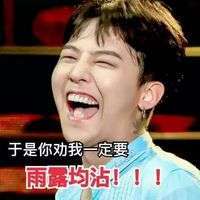 权志龙版雨露均沾文字微信表情包 自打我撩妹以来