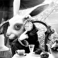 微信动物头人身的个性另类头像 每个人出生的时候都是原创