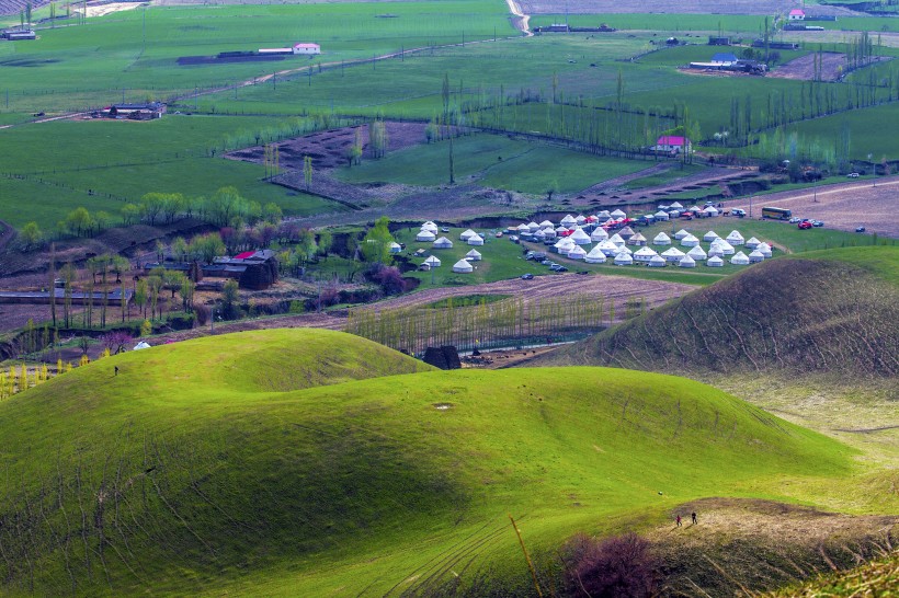 新疆新源野杏林风景微信高清图片