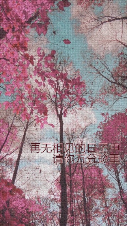 唯美带字微信图片 温清定省